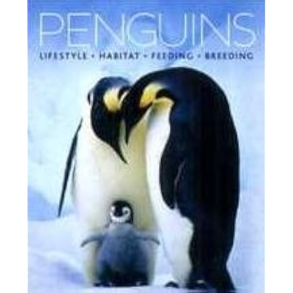 その他 Nature: Penguins [DVD] Amazon.com: Nature: Penguins - Penguins of the Antarctic/The World